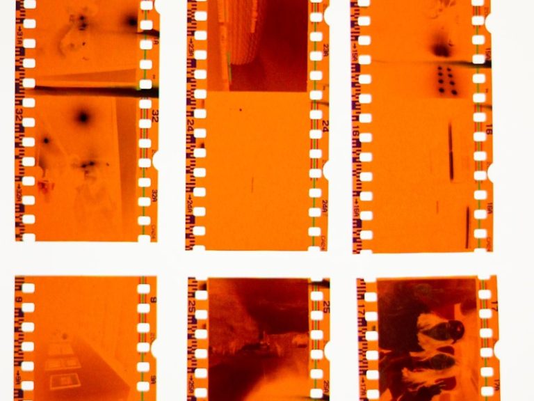 a set of six film strips with a picture of a cat